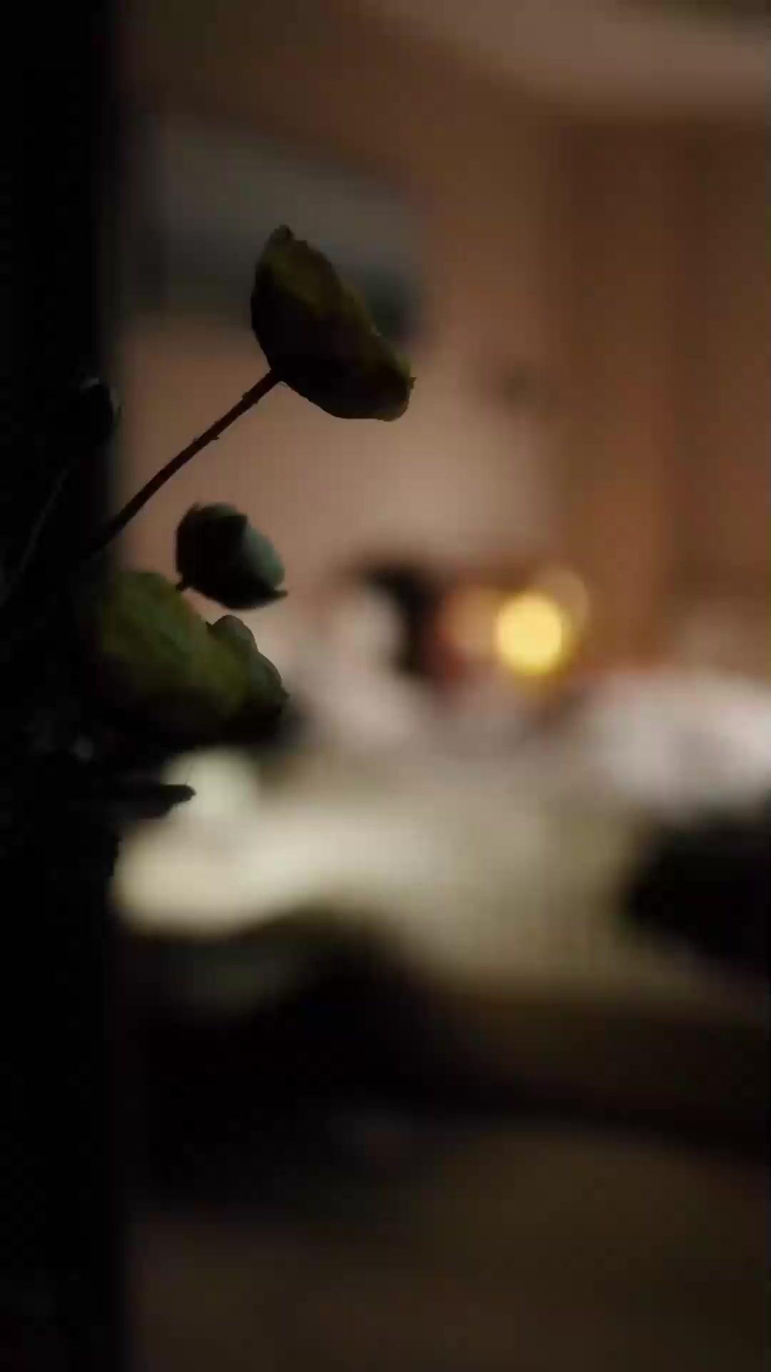 (더빙) 안녕, 옛사랑