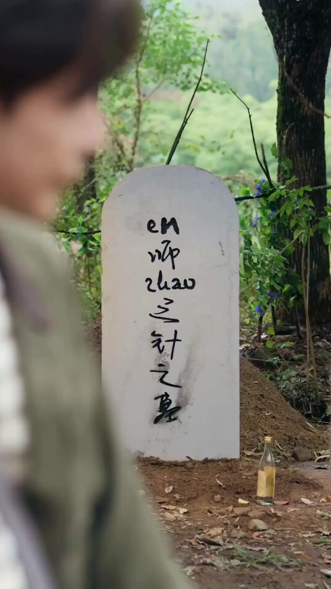 豪門退婚後，我一針定江山