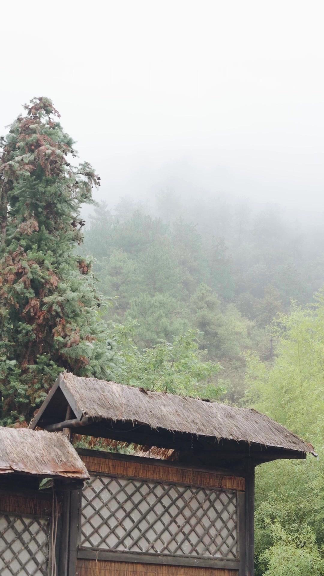 強引に奪った夫、まさかの皇太子様！？