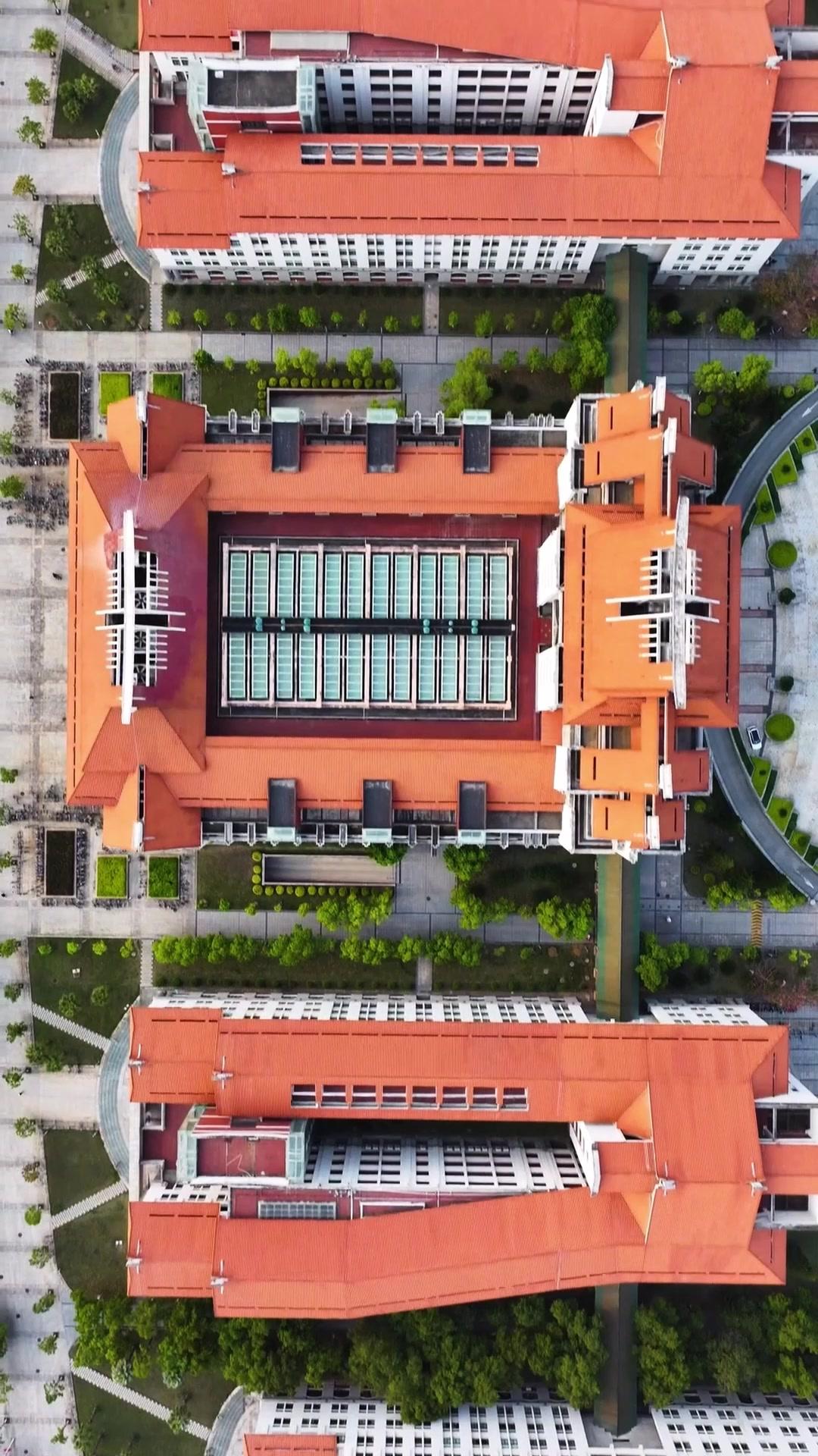 Oltre il Confine dell’Amore