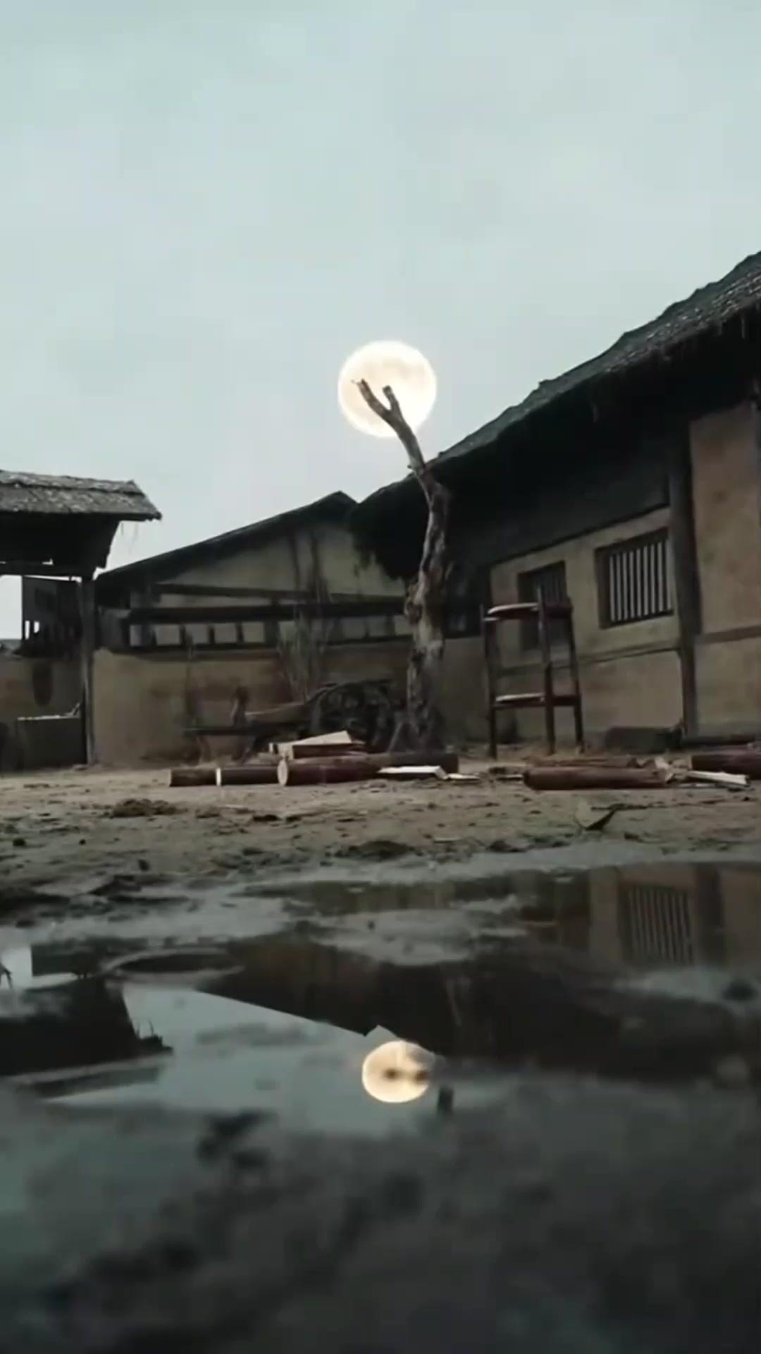 (مدبلج) سيد الزيجات