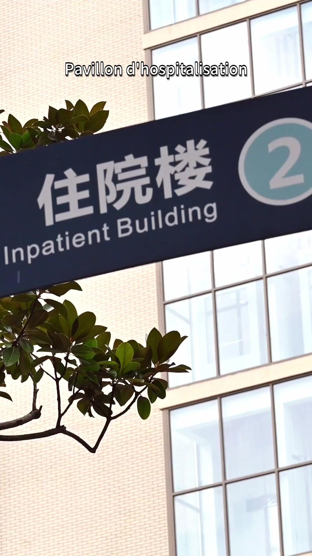 CHOUCHOUNE DE M. HUTIN