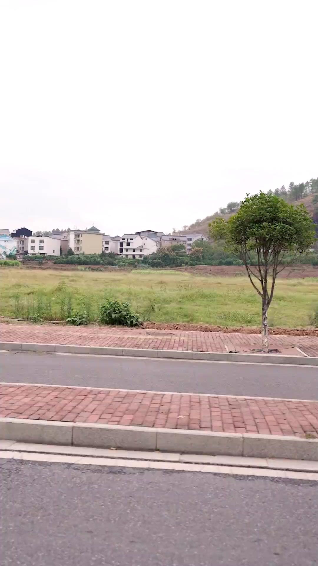 زواجٌ خاطف على حافة الانكشاف