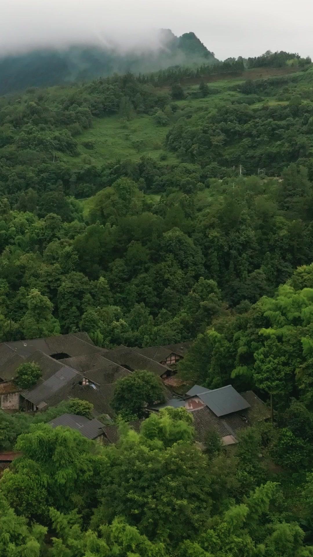 열혈 태극의 후계자