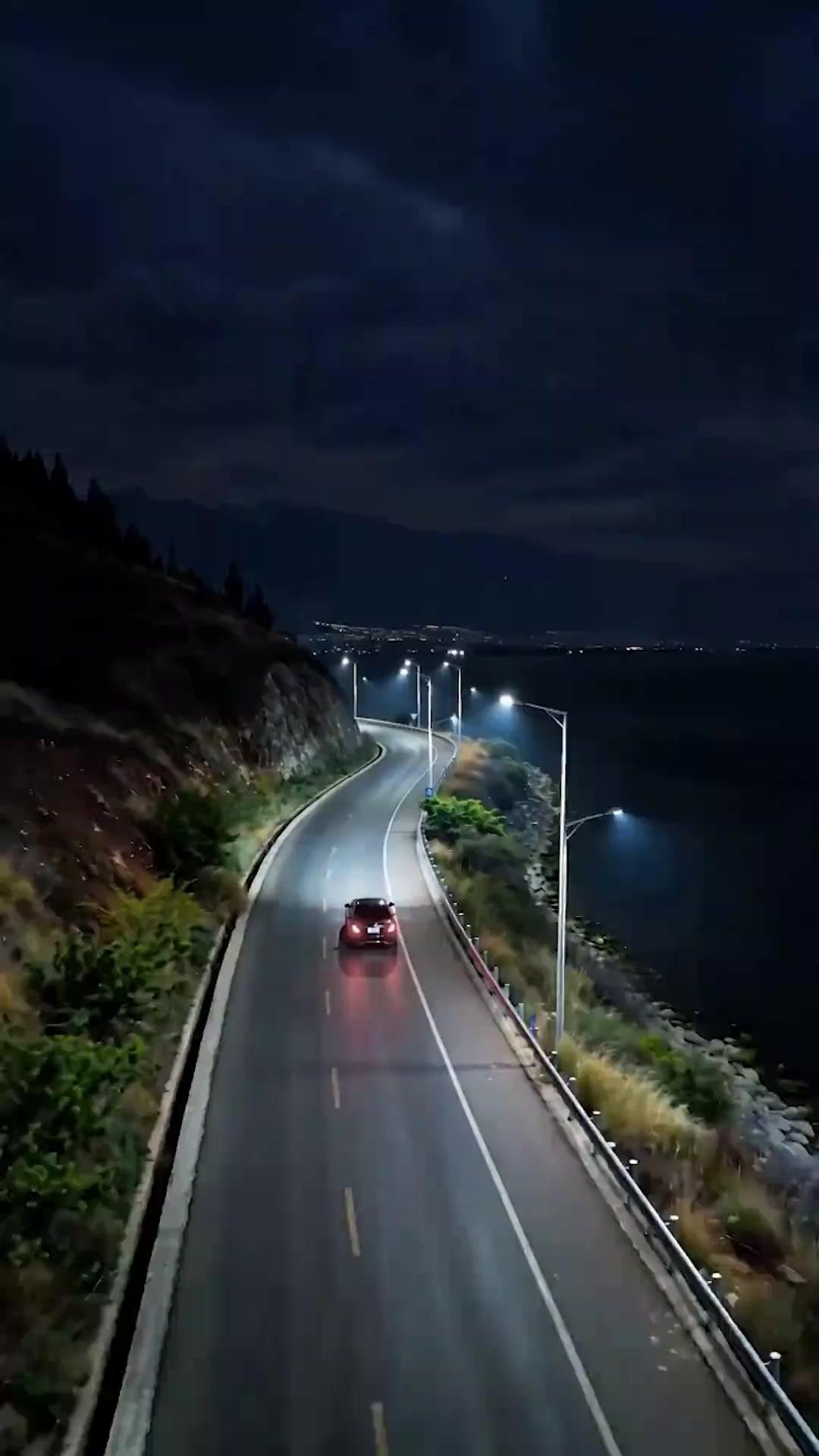 薔薇は棘を隠さない