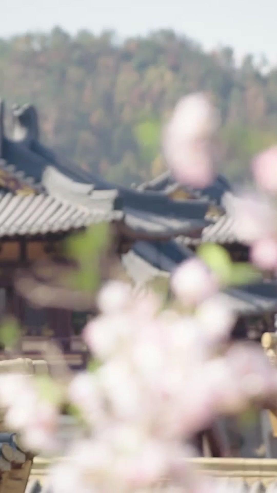 Mi camino de transformación tras renacer