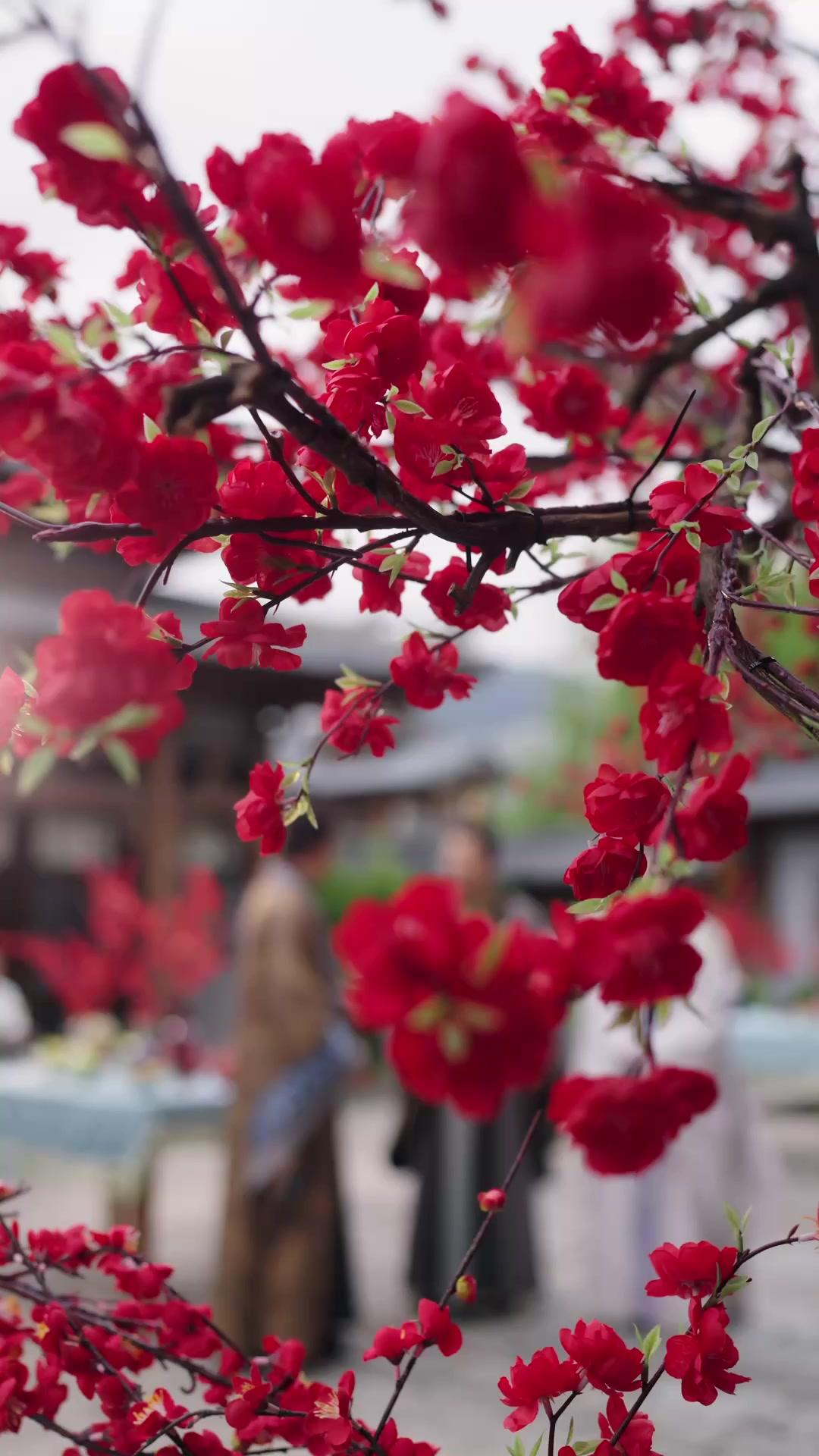 Takdir yang Berbalik Arah