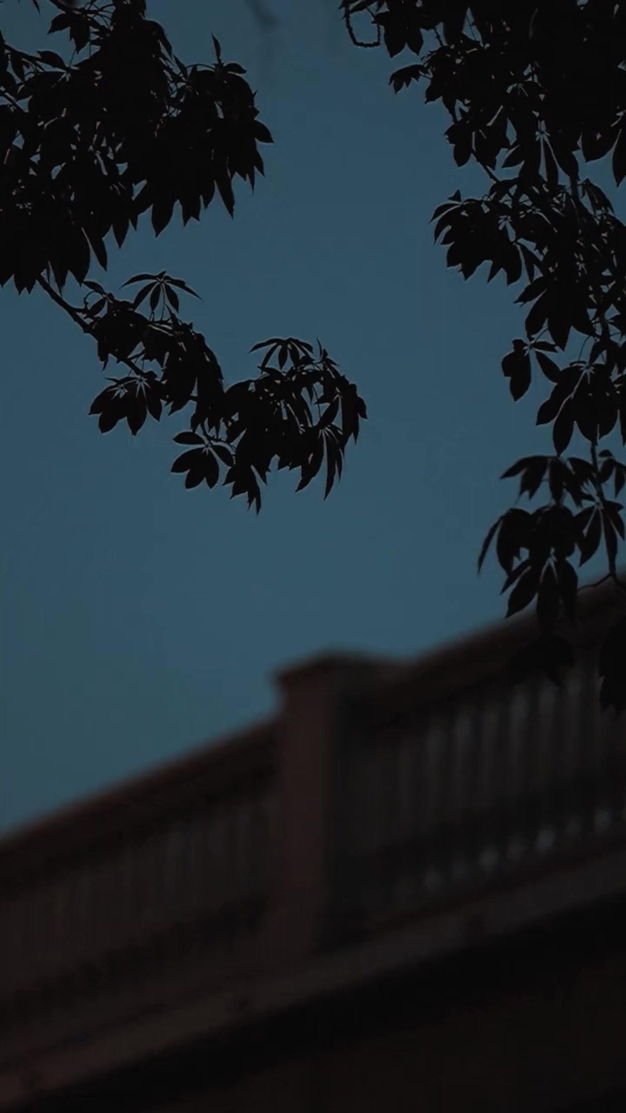 Novelist's Revenge? My “Villain" Hubby Is Now Real!