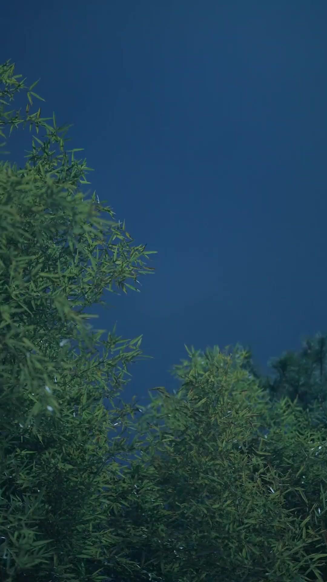 Hurt My Girl and Suffer!