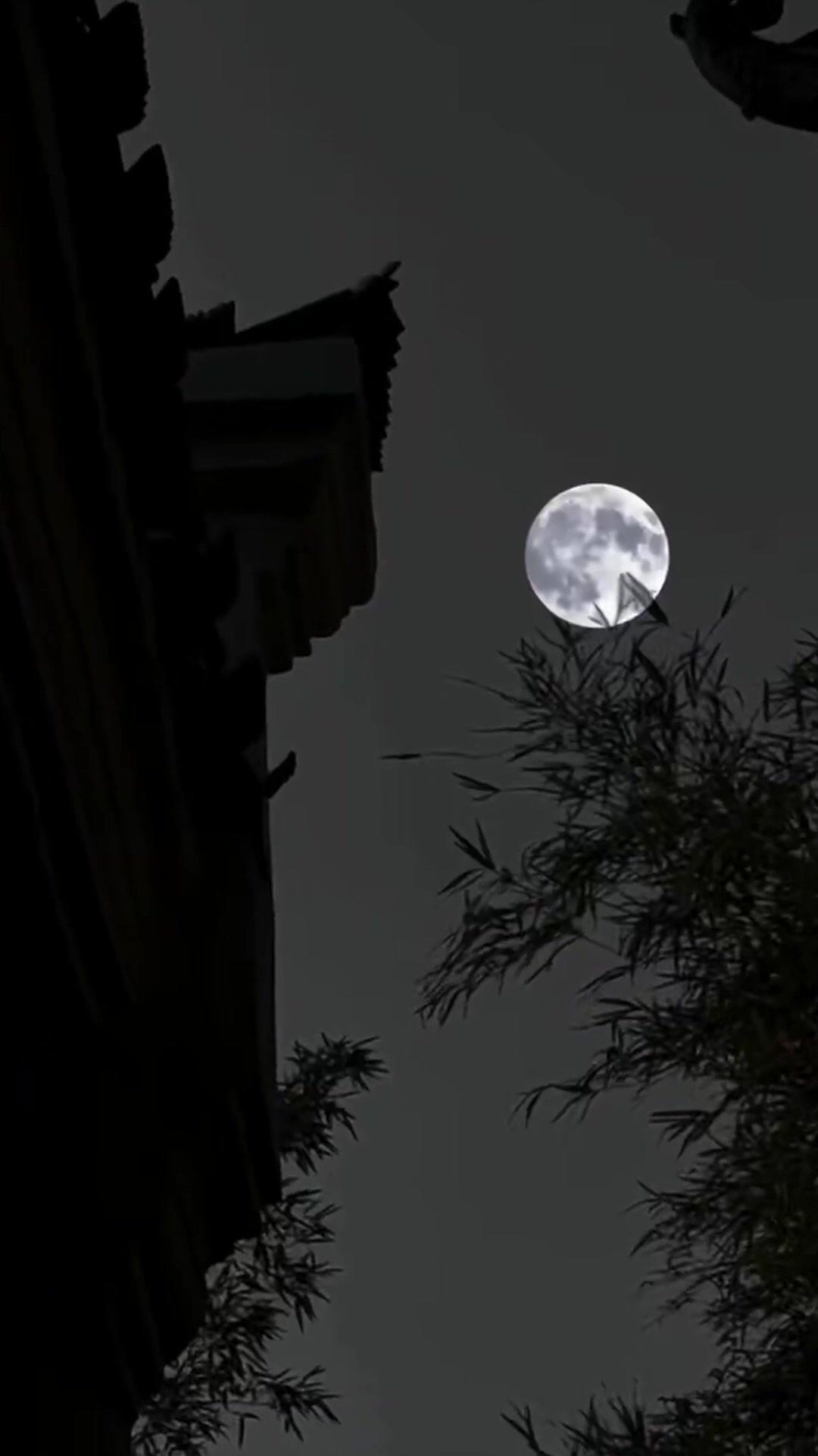 ตื่นมาเป็นพ่อลูกดก