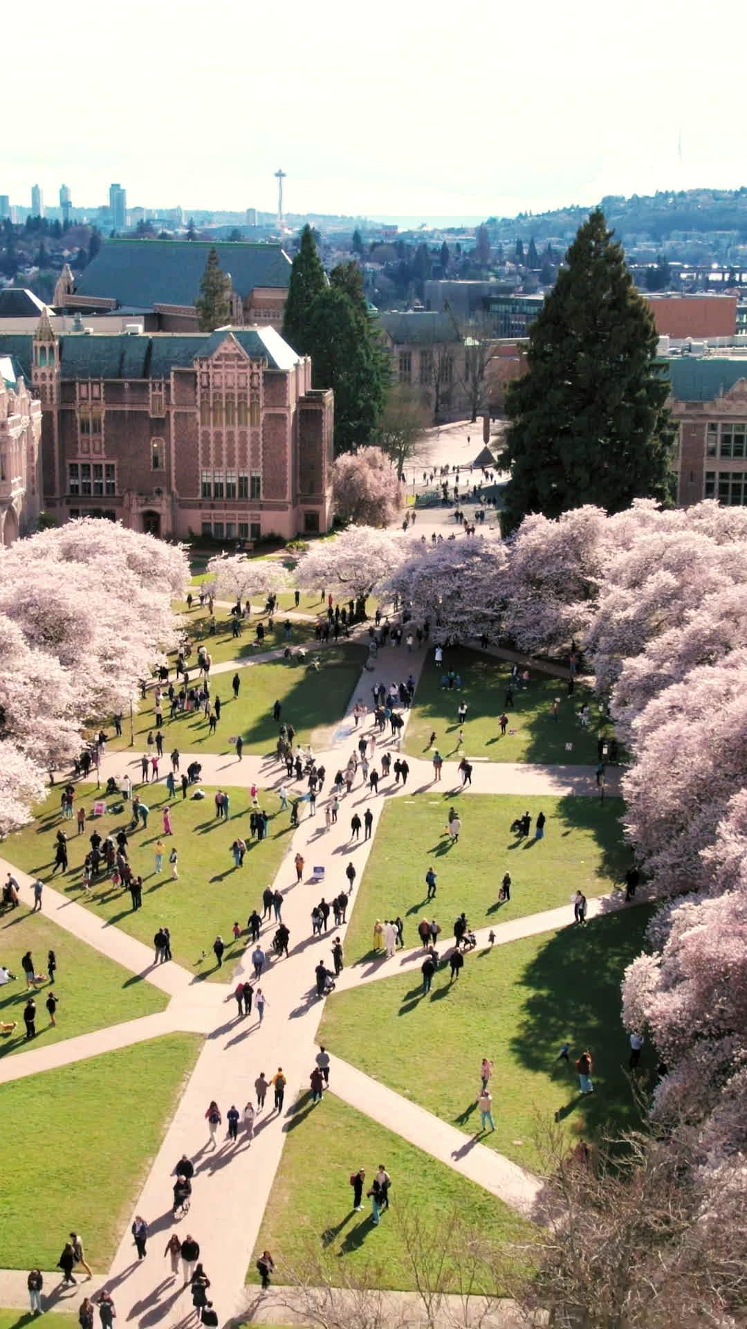 Say you remember, say you love