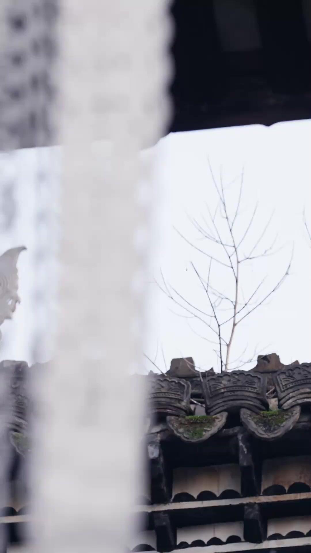 Kebenaran di Hari Bahagia