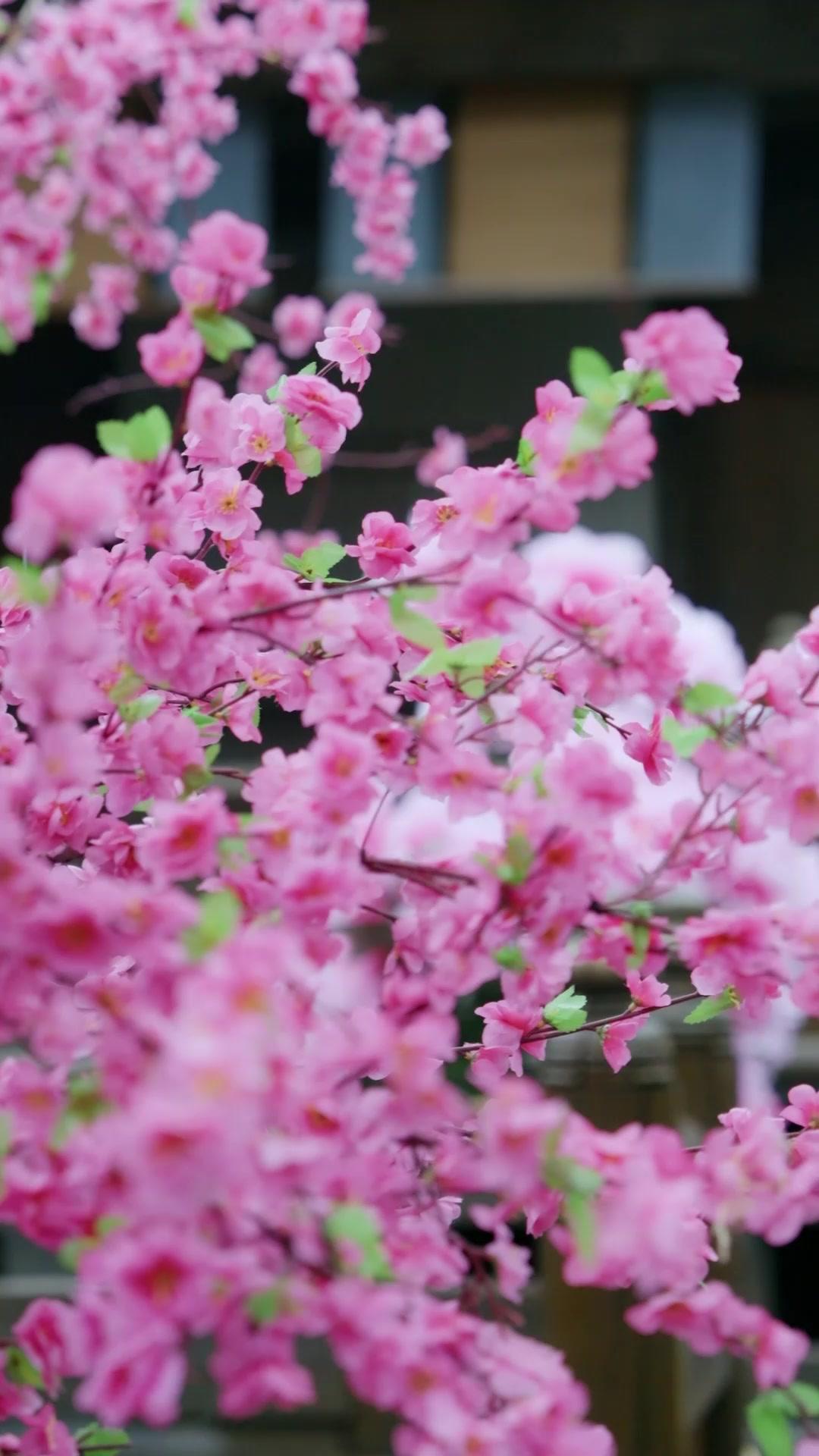 Love Intertwined with Hate