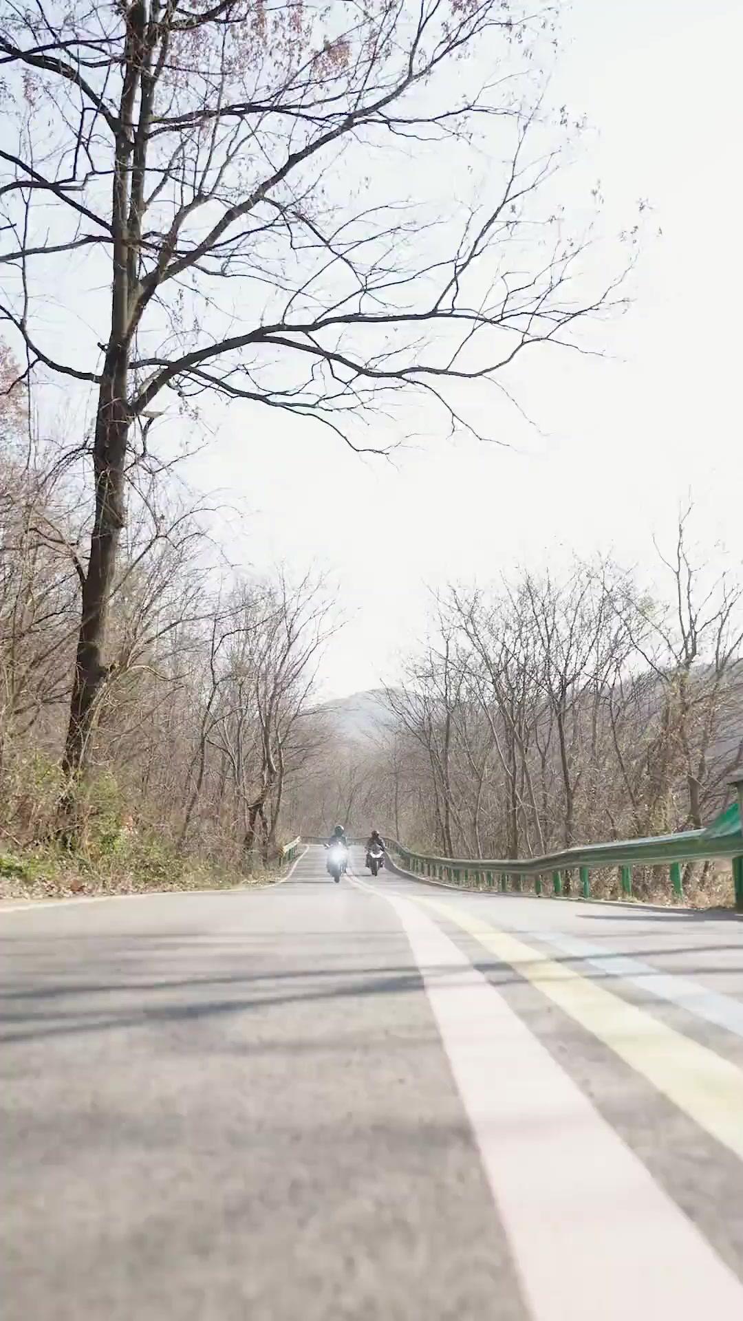 양누나만 아홉 명