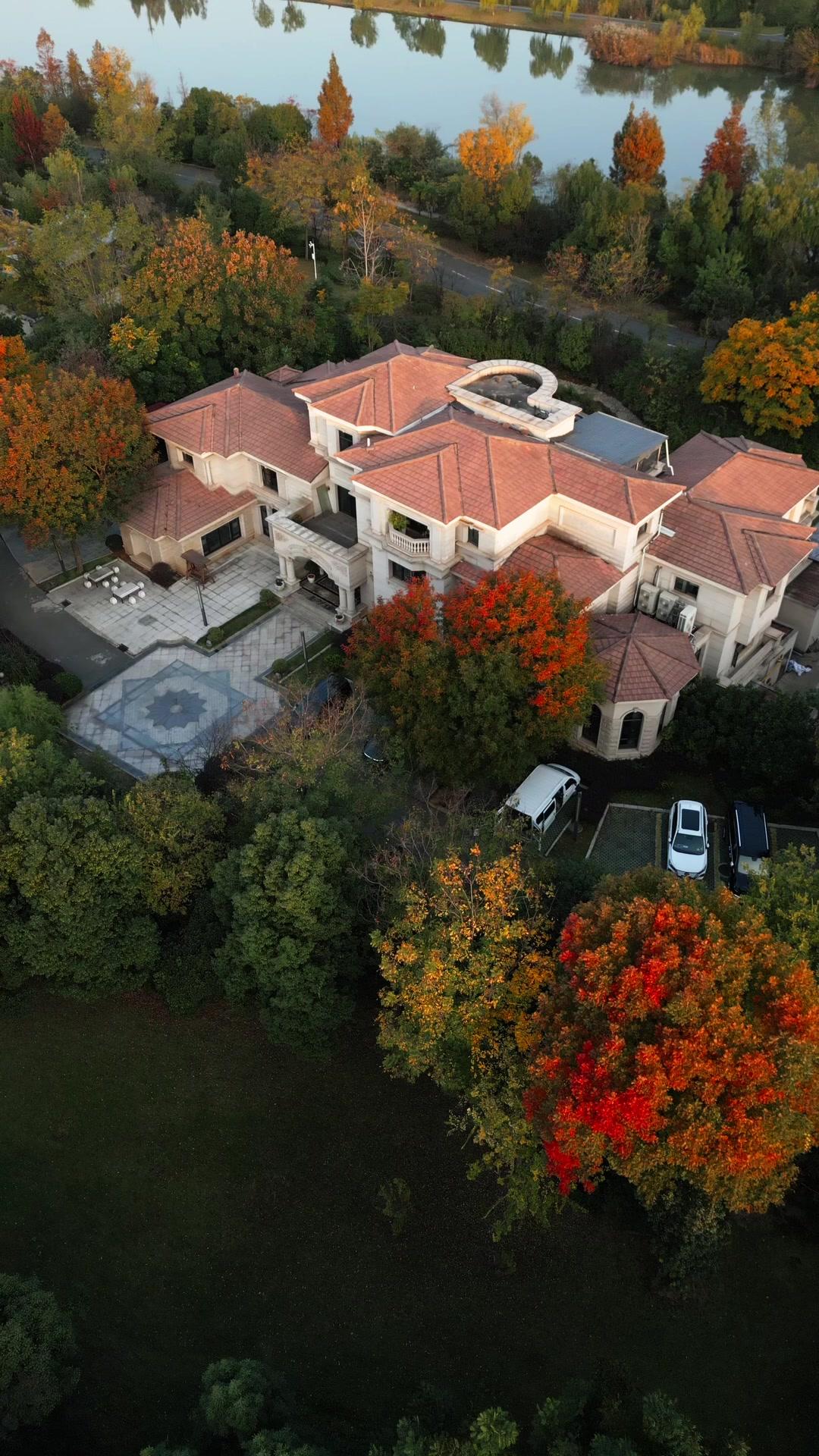 不按劇本愛上你