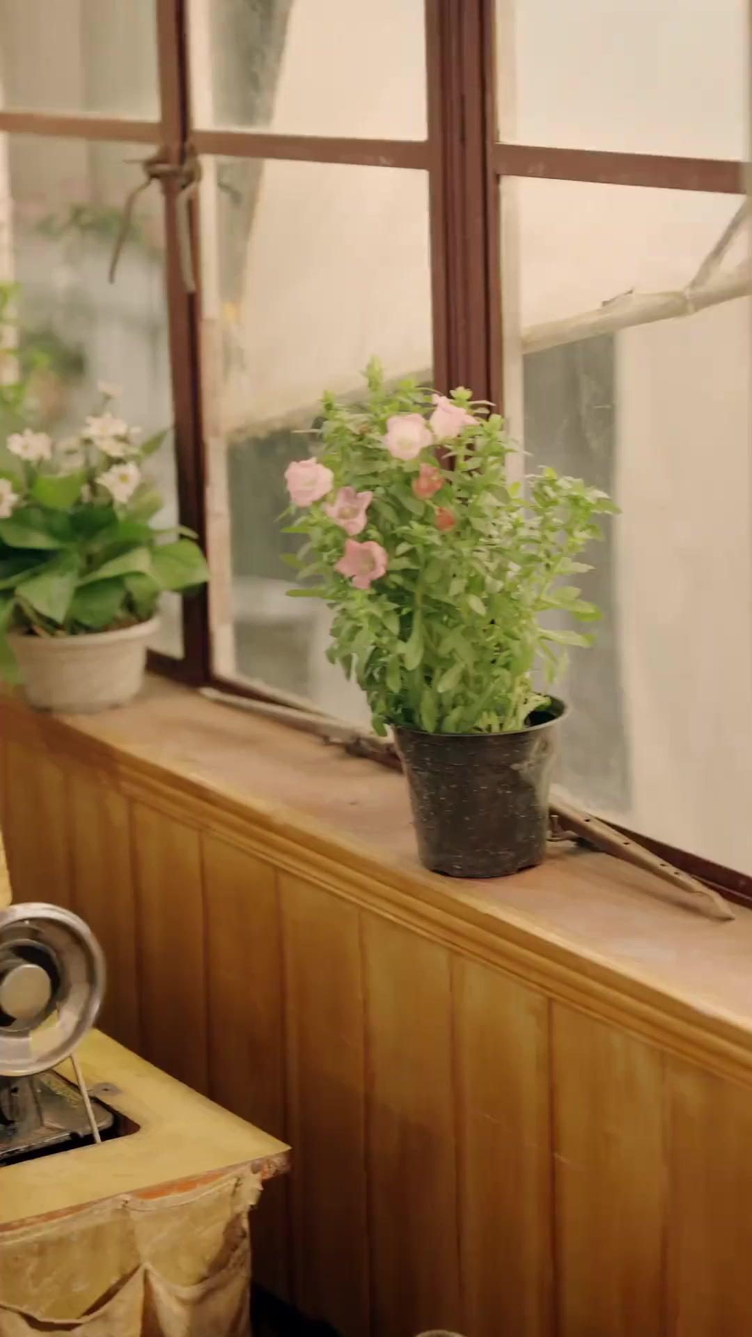 시간을 거스른 운명