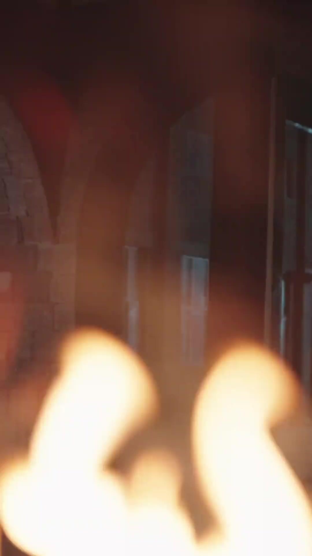 お嬢様と番犬くん