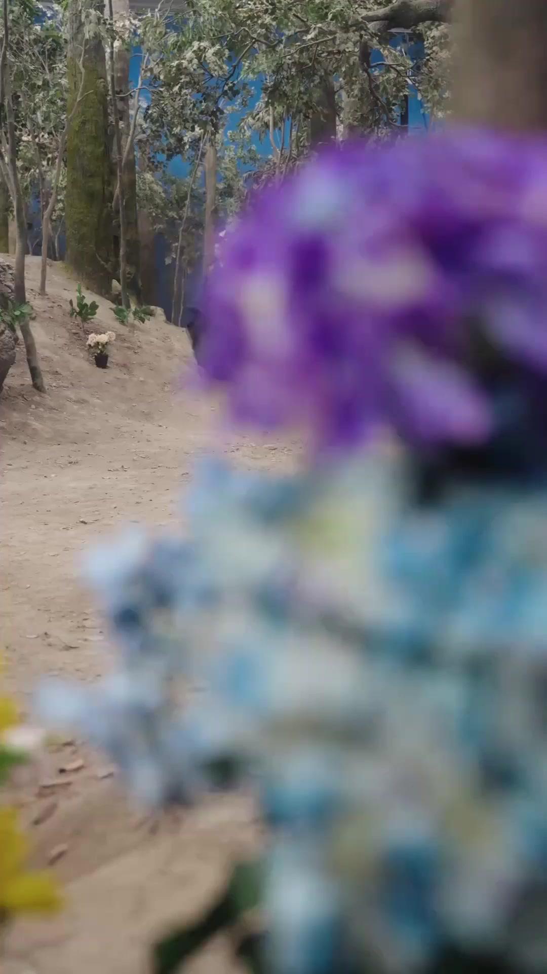 Tras renacer, huí de mi secta