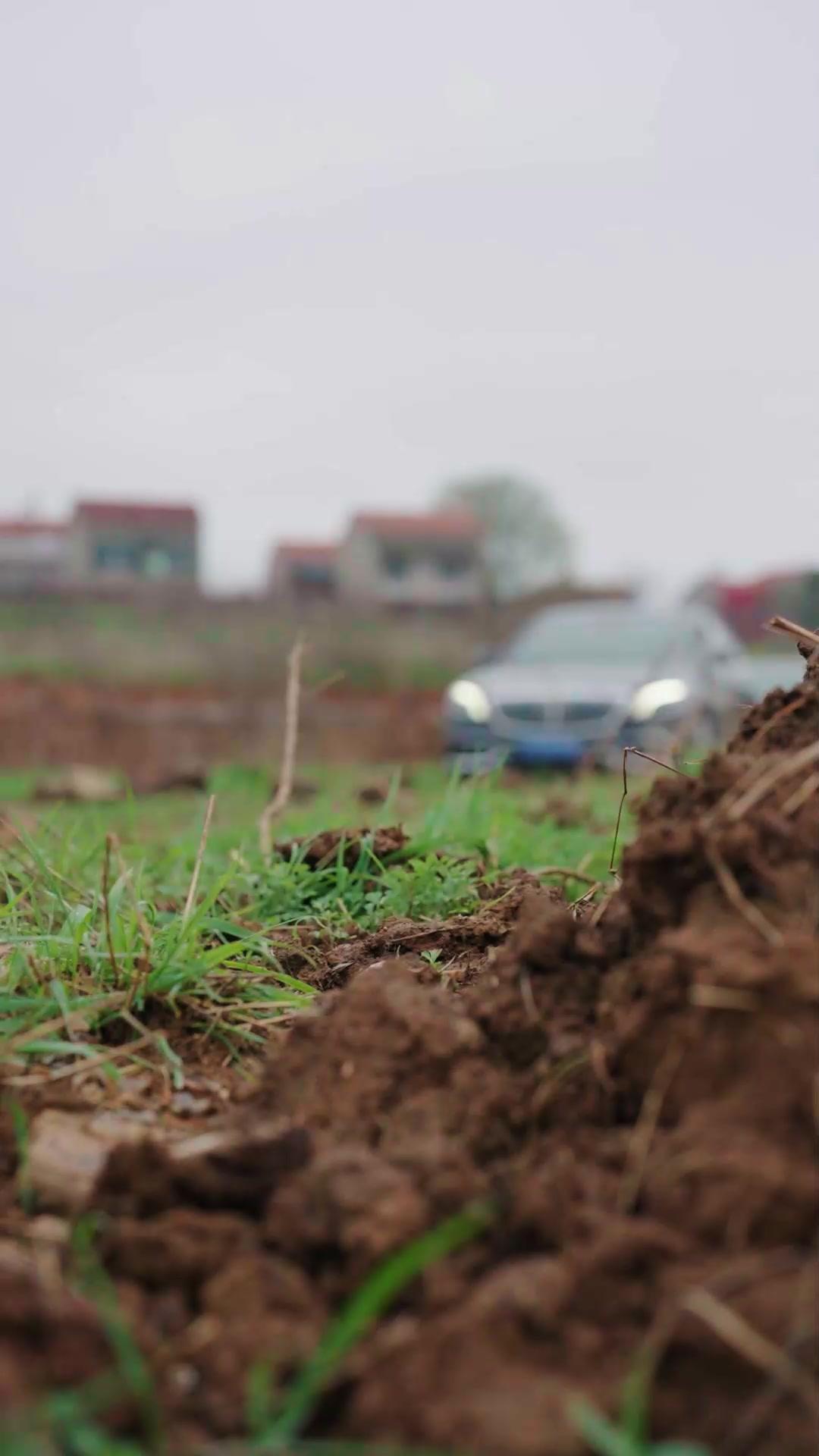 El dinero es su mamá