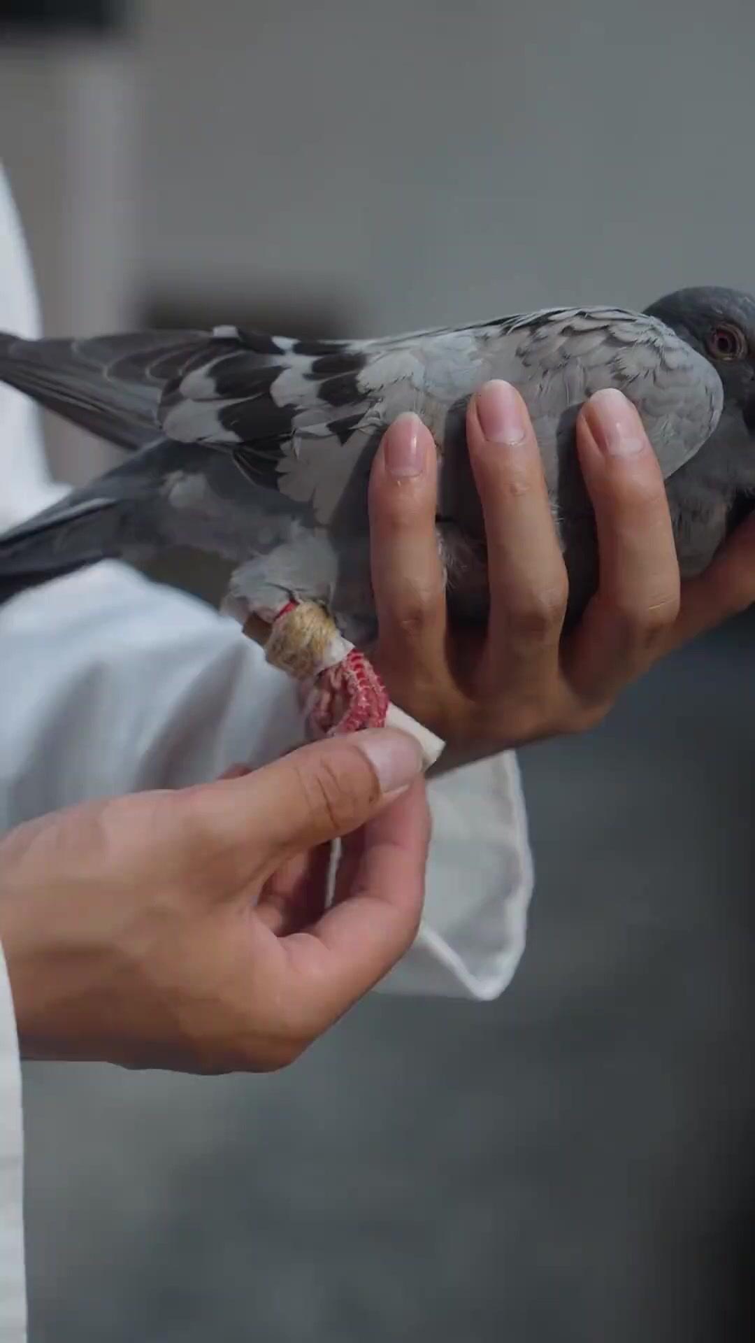 Perdente? Ora Sono il Re!