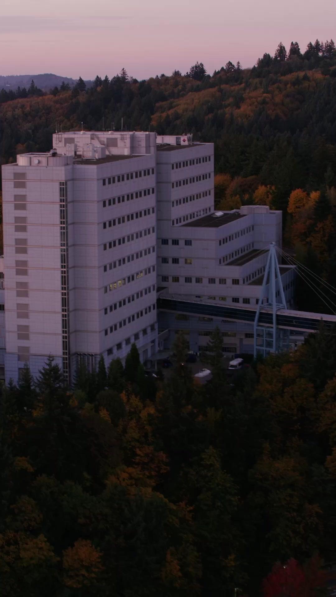 The Mafia Boss' Secret Maid