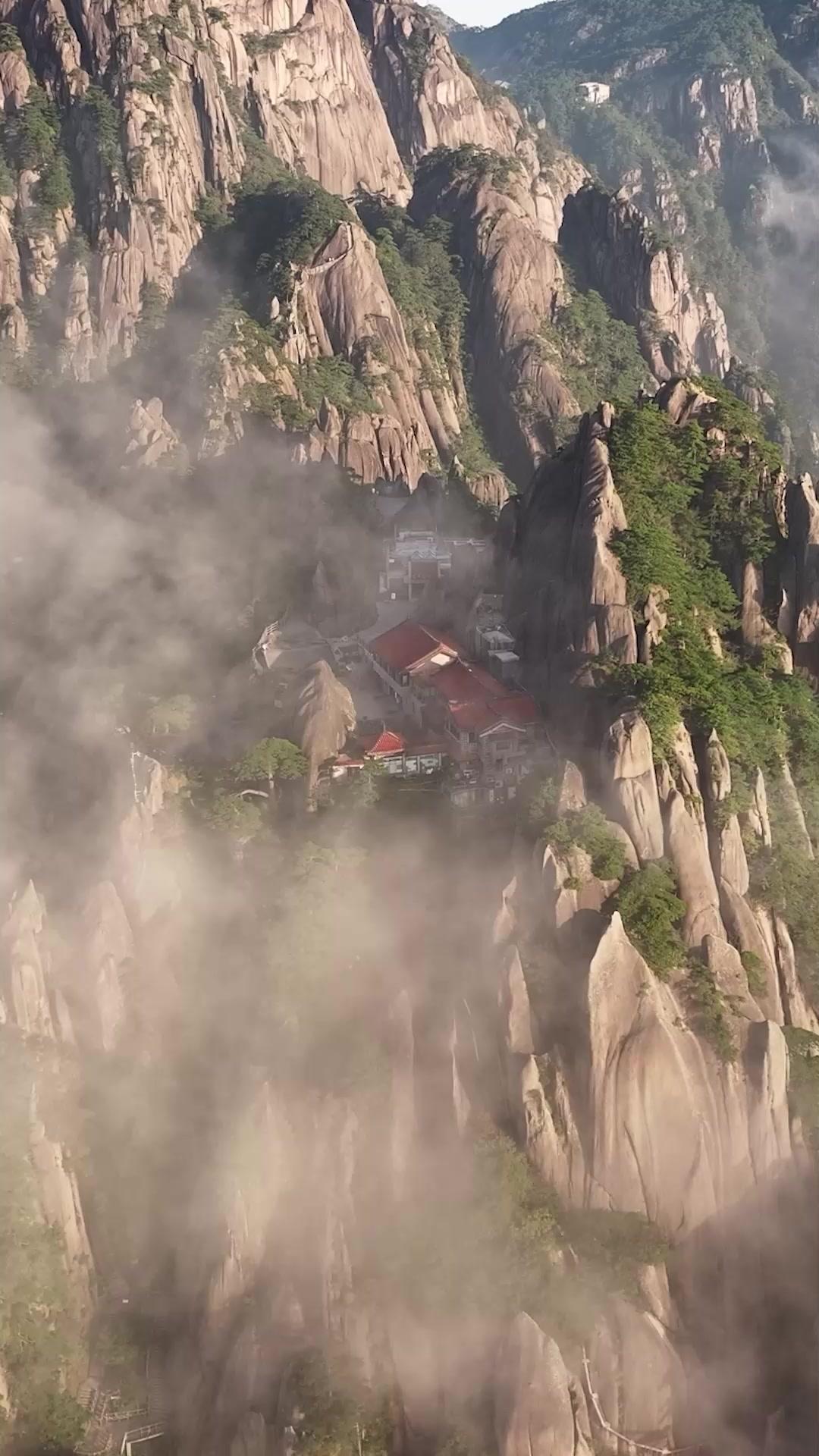 Return of the Lion King: Legacy Reignited