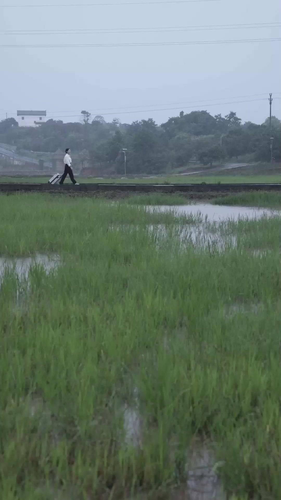 Nona Direktur yang Asli dan Palsu