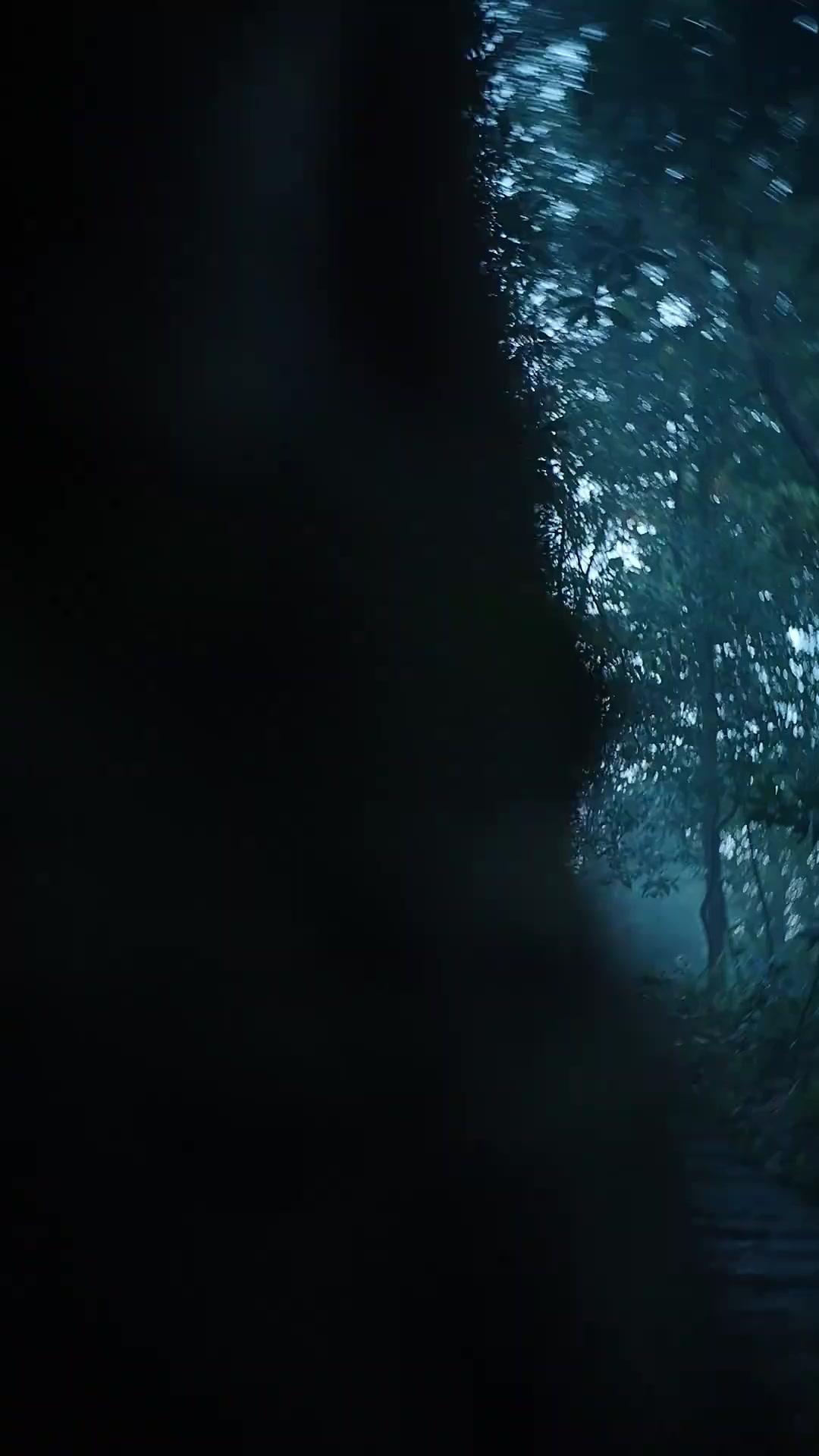 The Dead Wife Returns