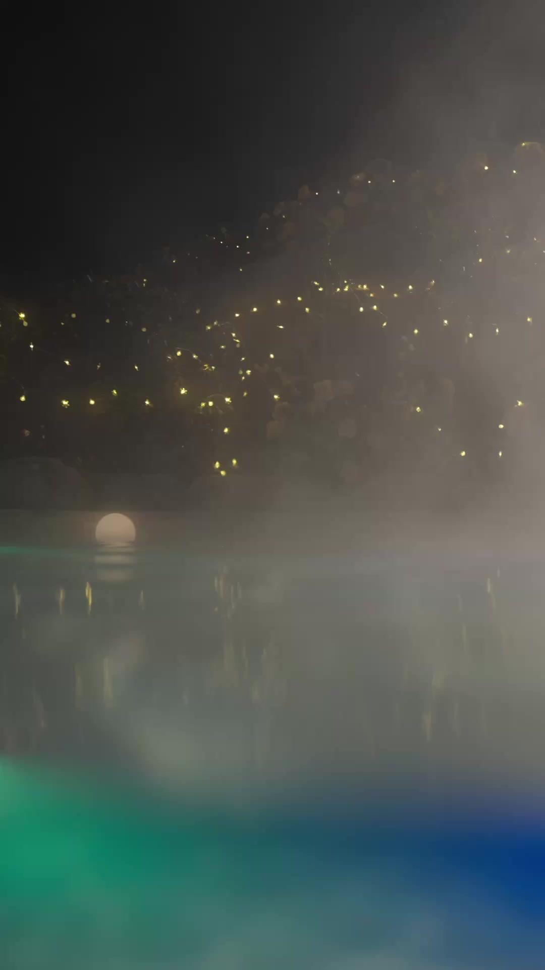 愛という、不可抗力