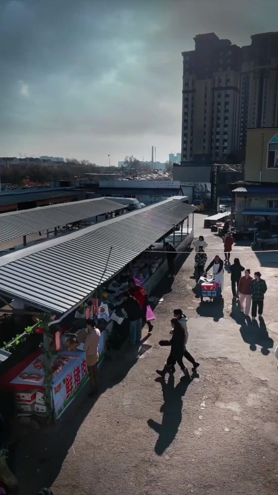 東北王～うちの親父は最強だ～