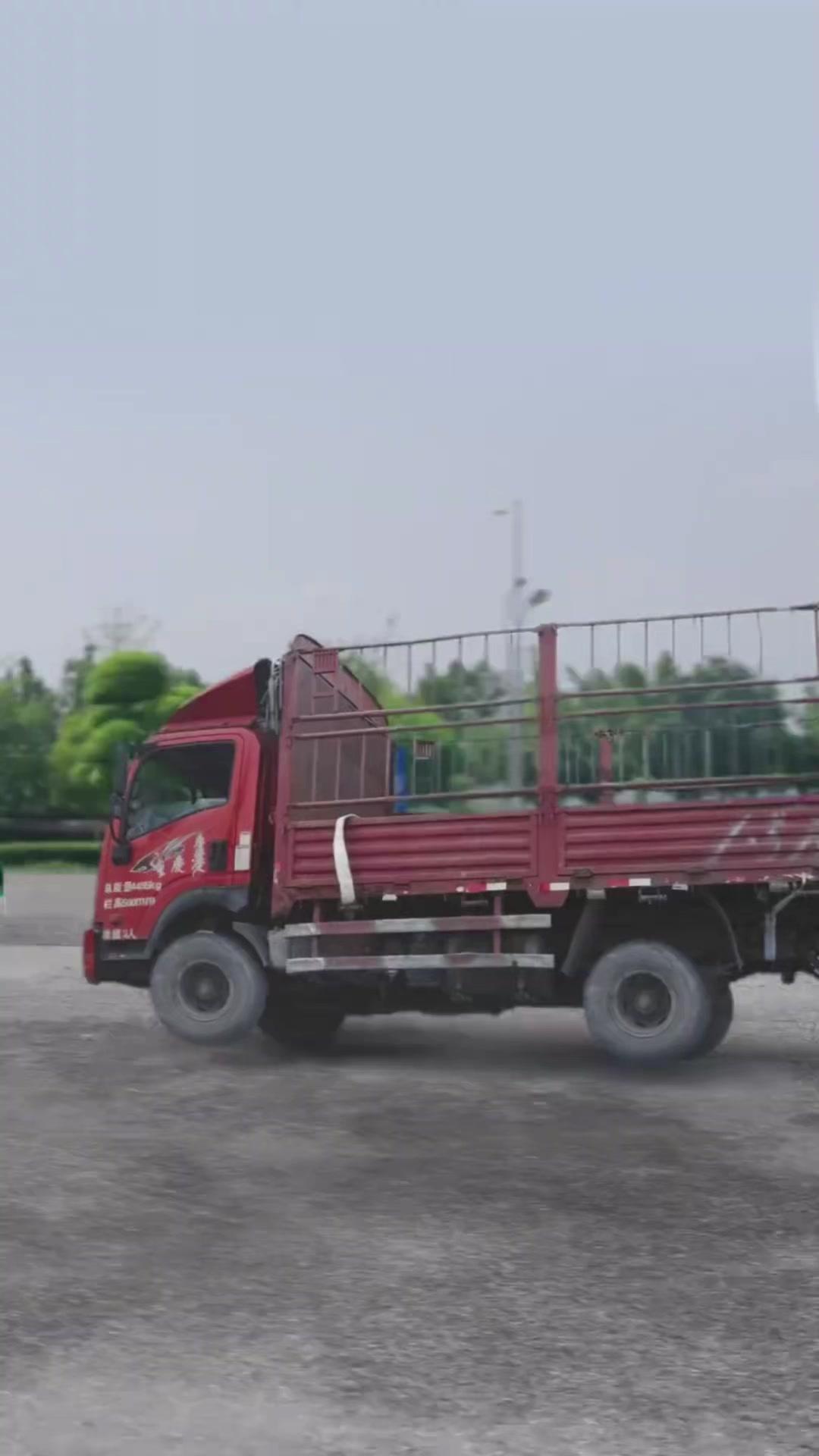  (더빙) 레이싱 챔피언