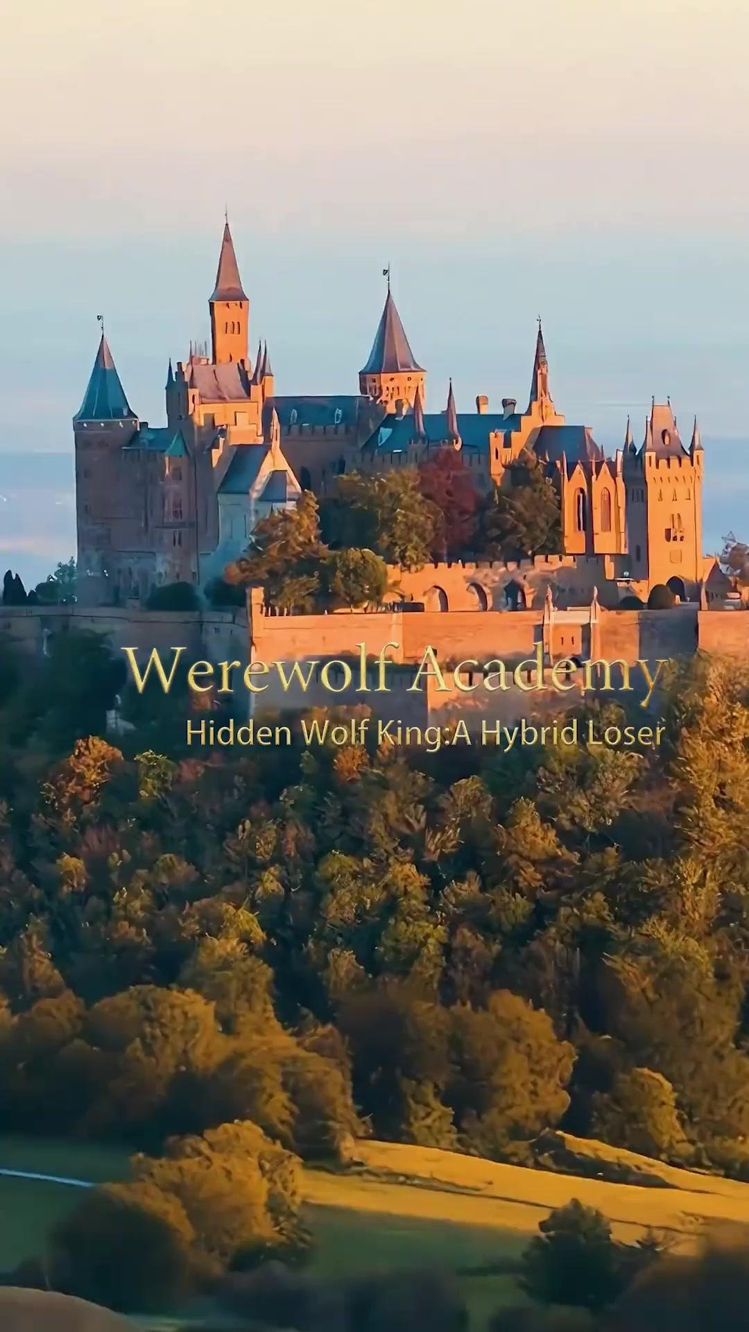 LE ROI LOUP CACHÉ : UN HYBRIDE MÉPRISÉ 