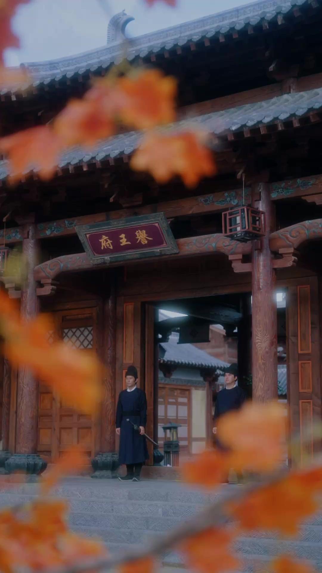 أمير وراء الأقنعة