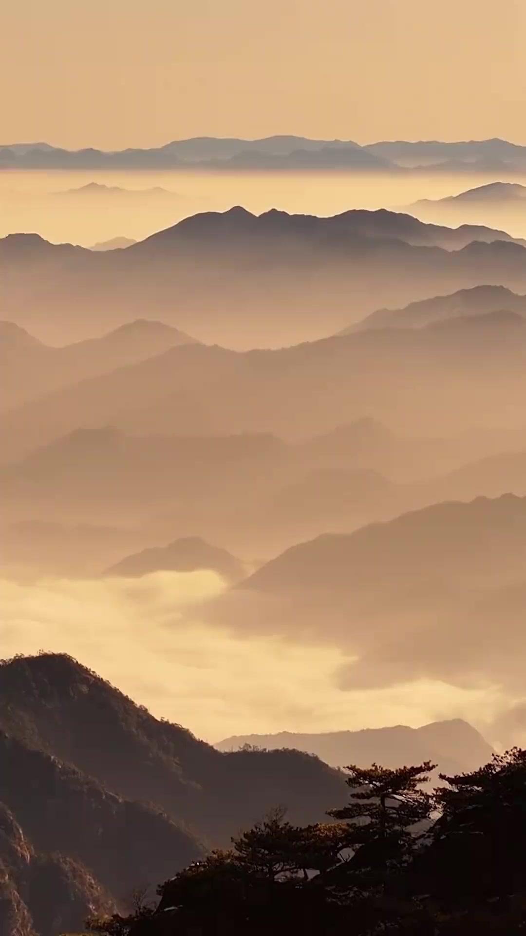 Pendekar Wanita Perkasa