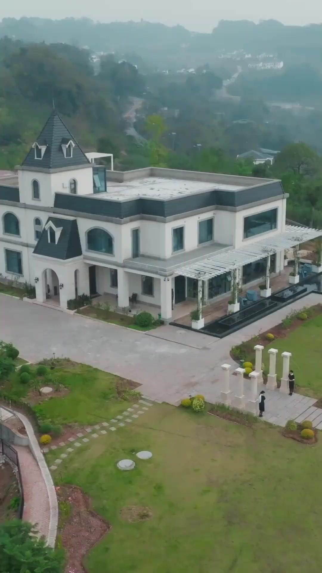 Oops! The Chicken Prophet Saves The Day!