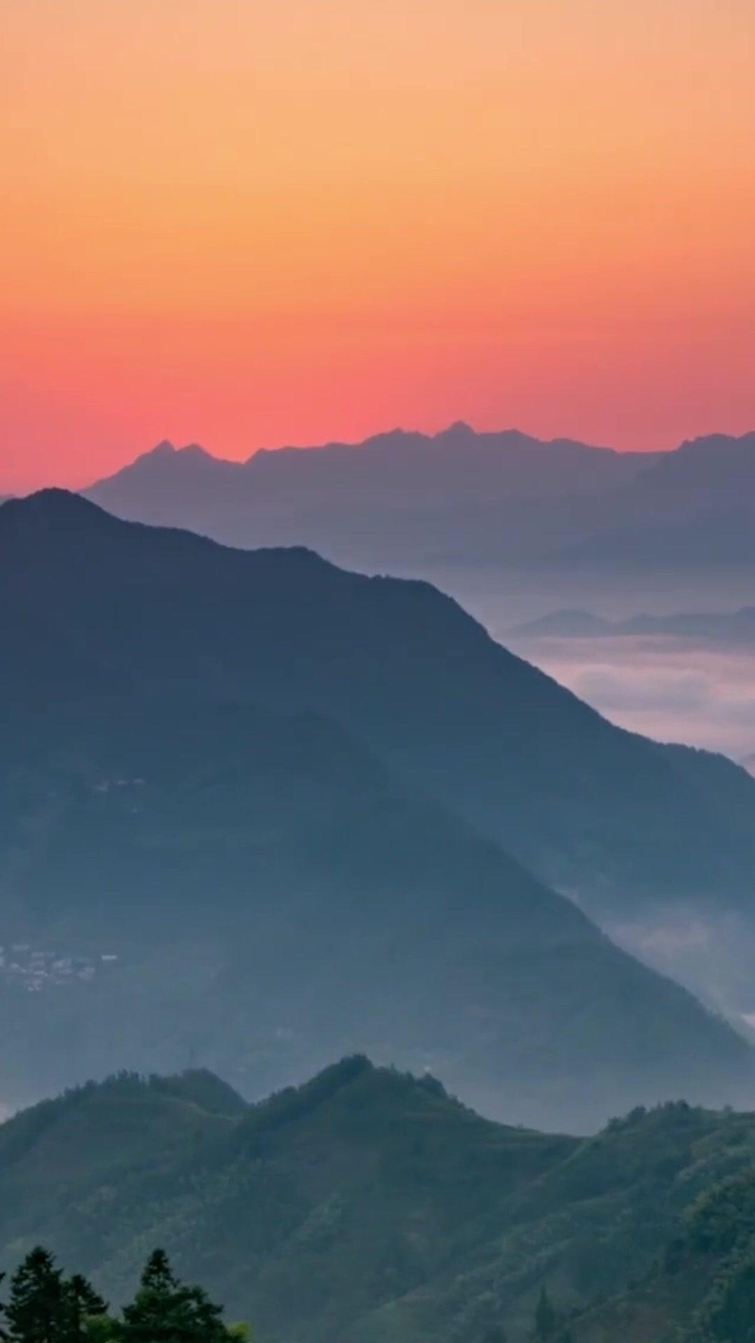 Taming My Lord Husband