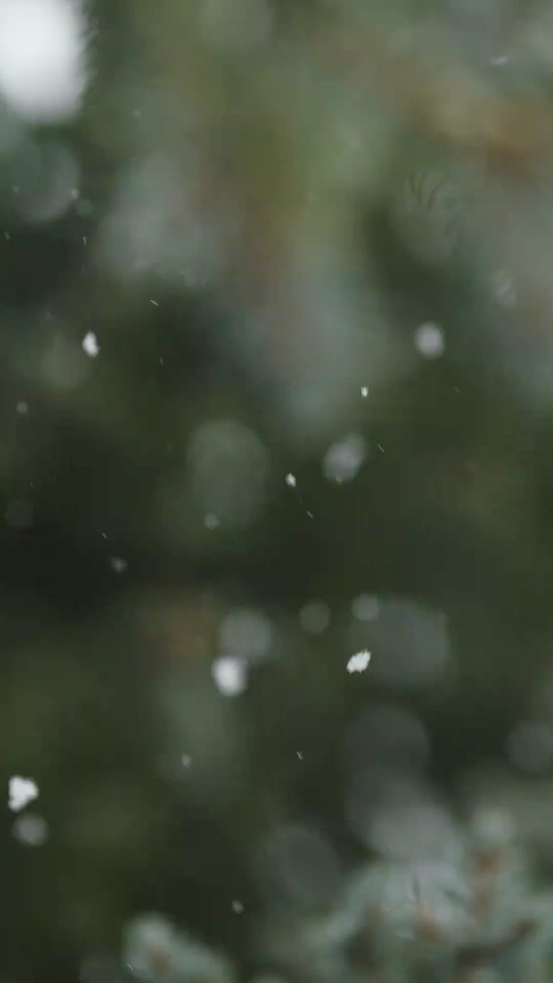 Cocinando hacia tu amor