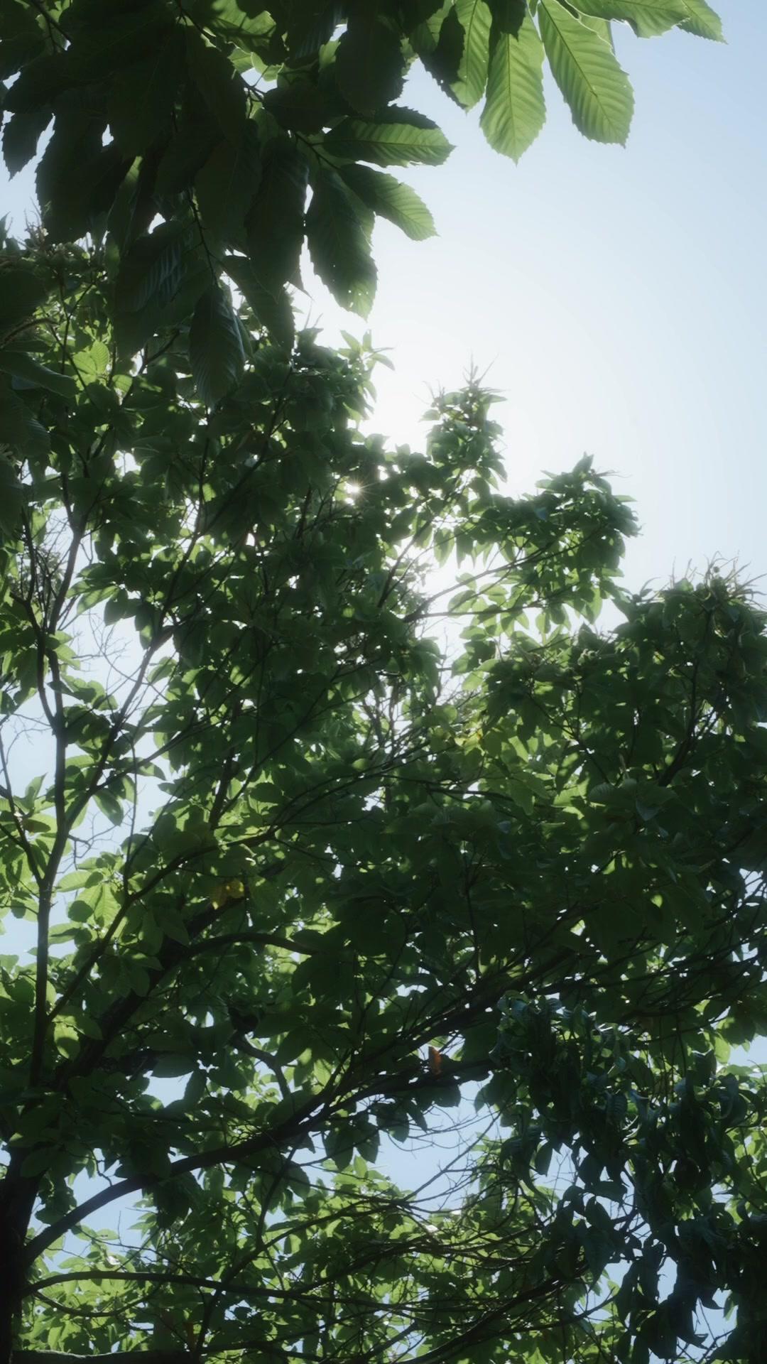 Dewi Sekolah Balik Naksir