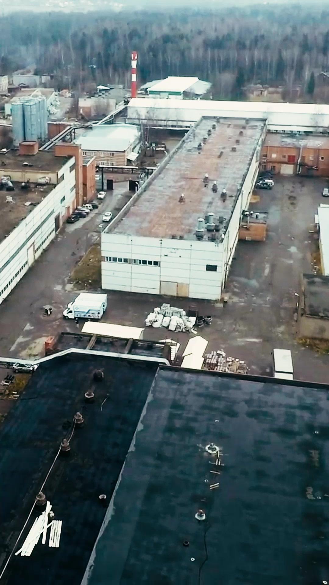 My cold blooded alpha king