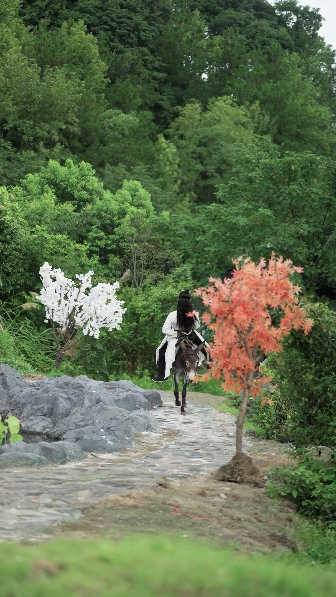 Faking Fool, True RULER