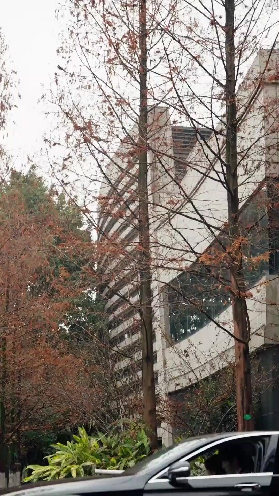 Ela Era Doce Demais para Ele