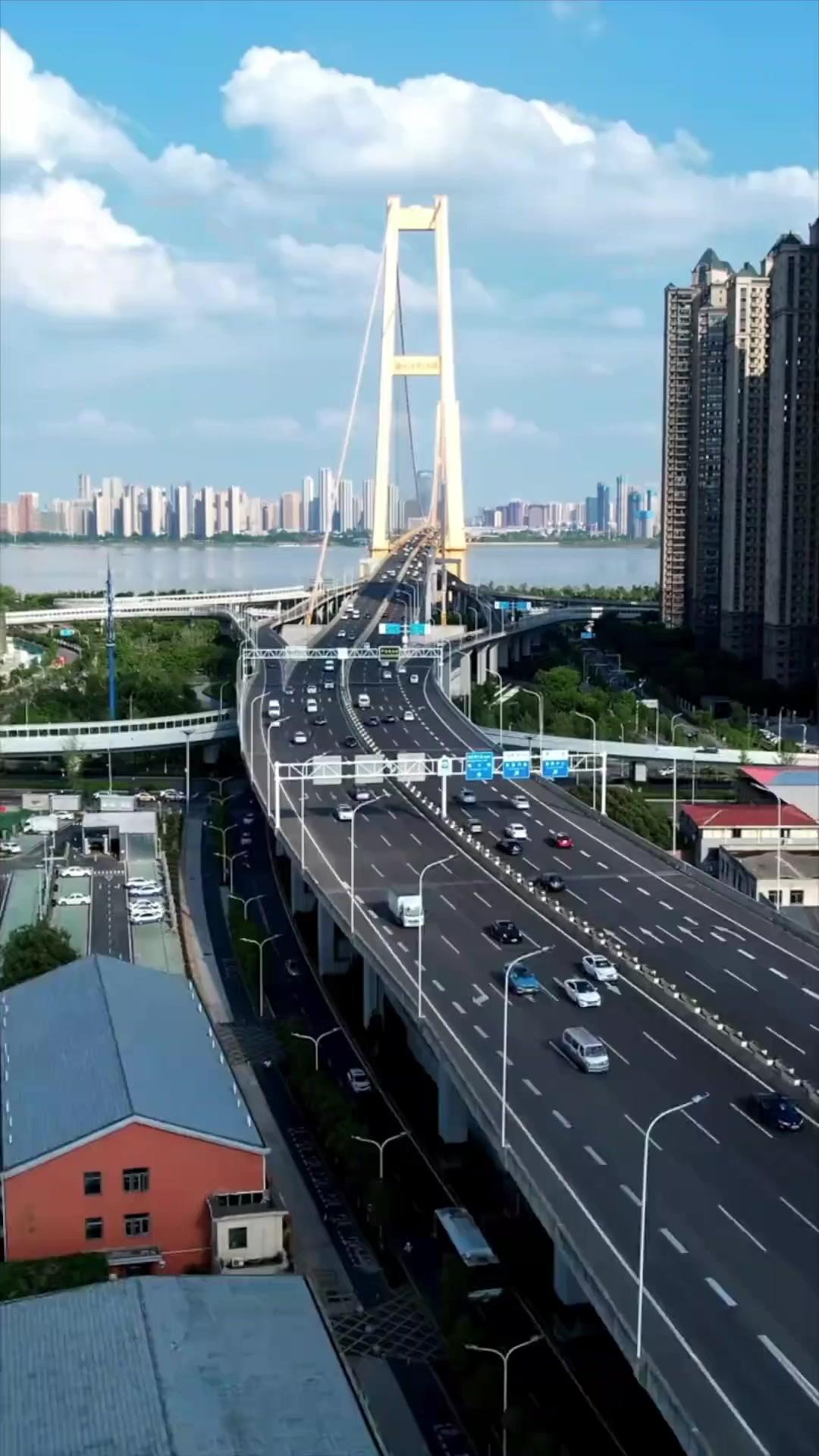 Vultures in the Phoenix's Nest