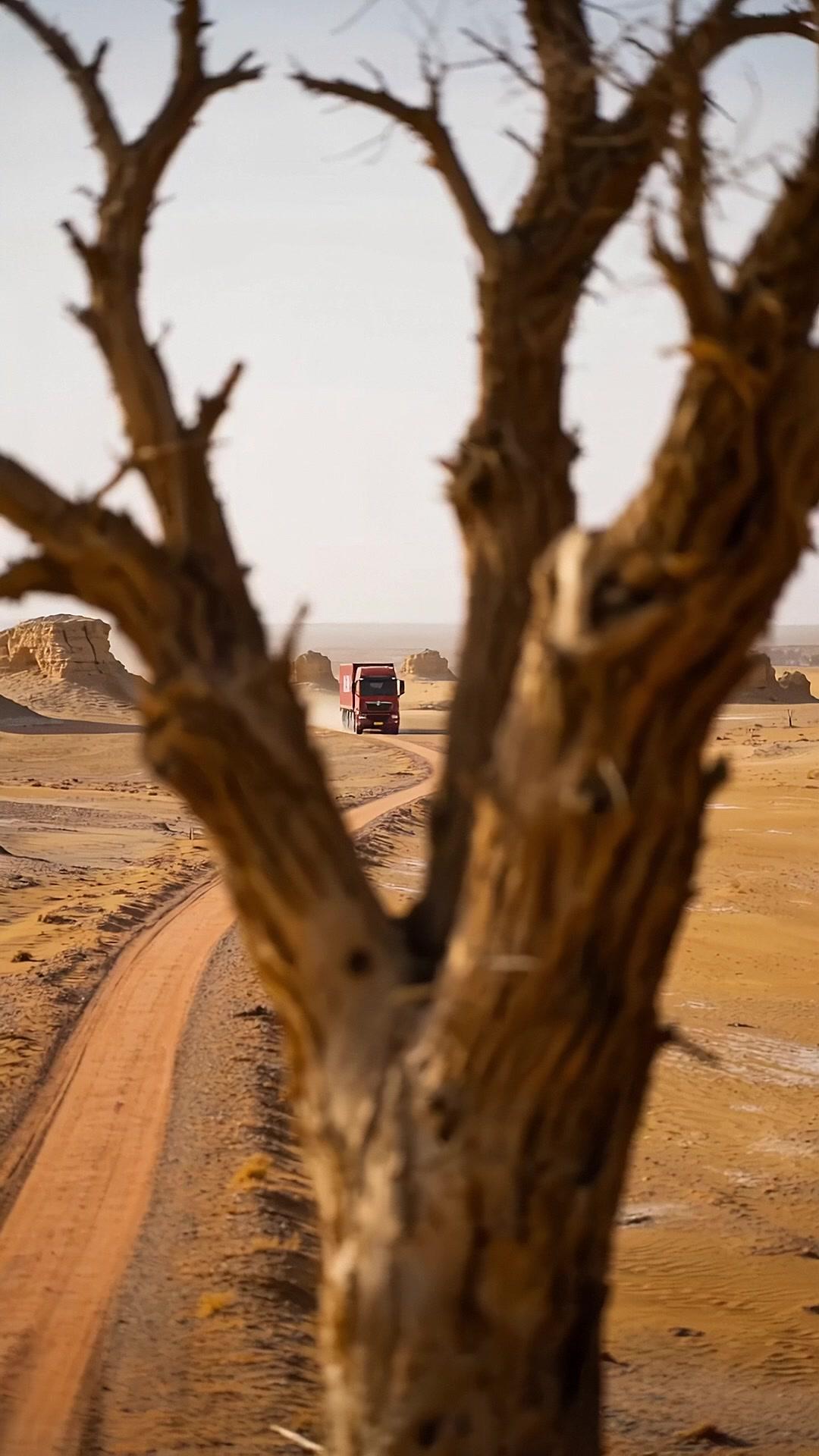 Ungkap Rahasia Zona Mati