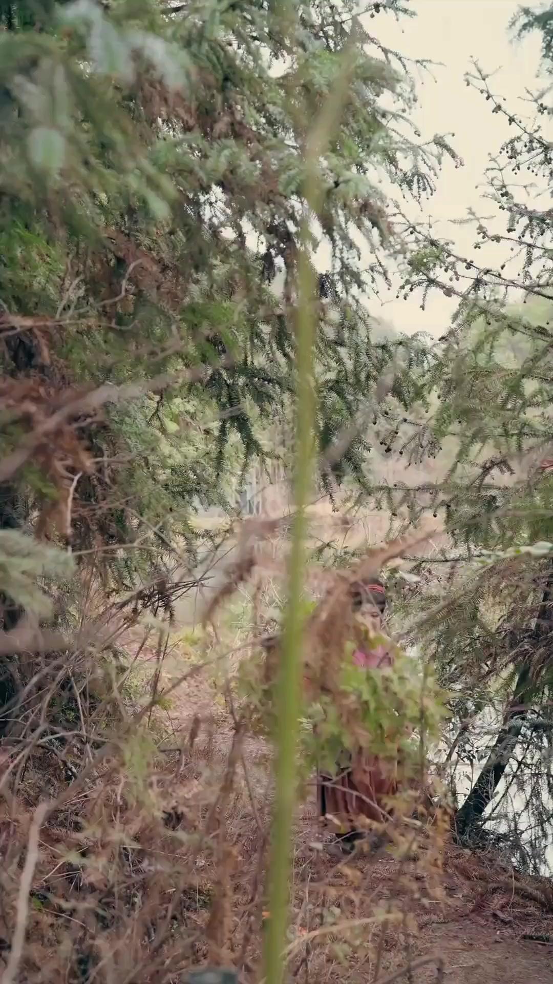 (Dubbed) Ayahanda Sang Pangeran, Ibu Jangan Tergamam