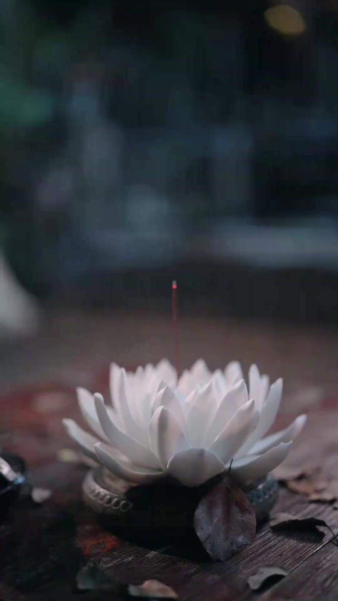 Malam Itu Bersama Sang Adipati