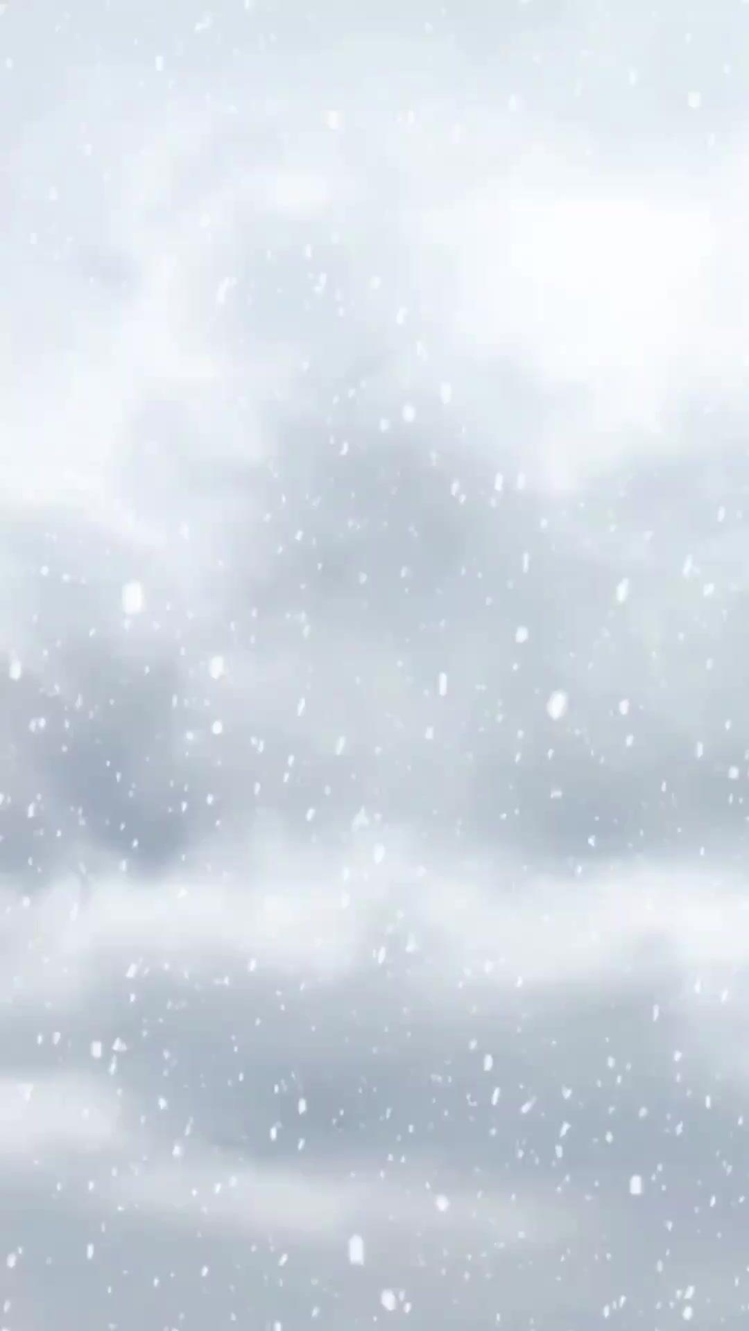 (더빙) 아이 아빠가 황제라니?!