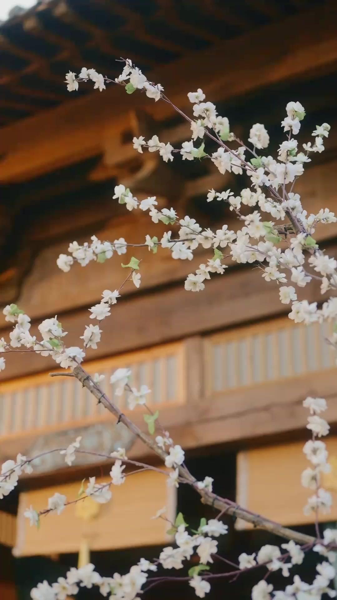 Yeniden Doğan Kraliçe