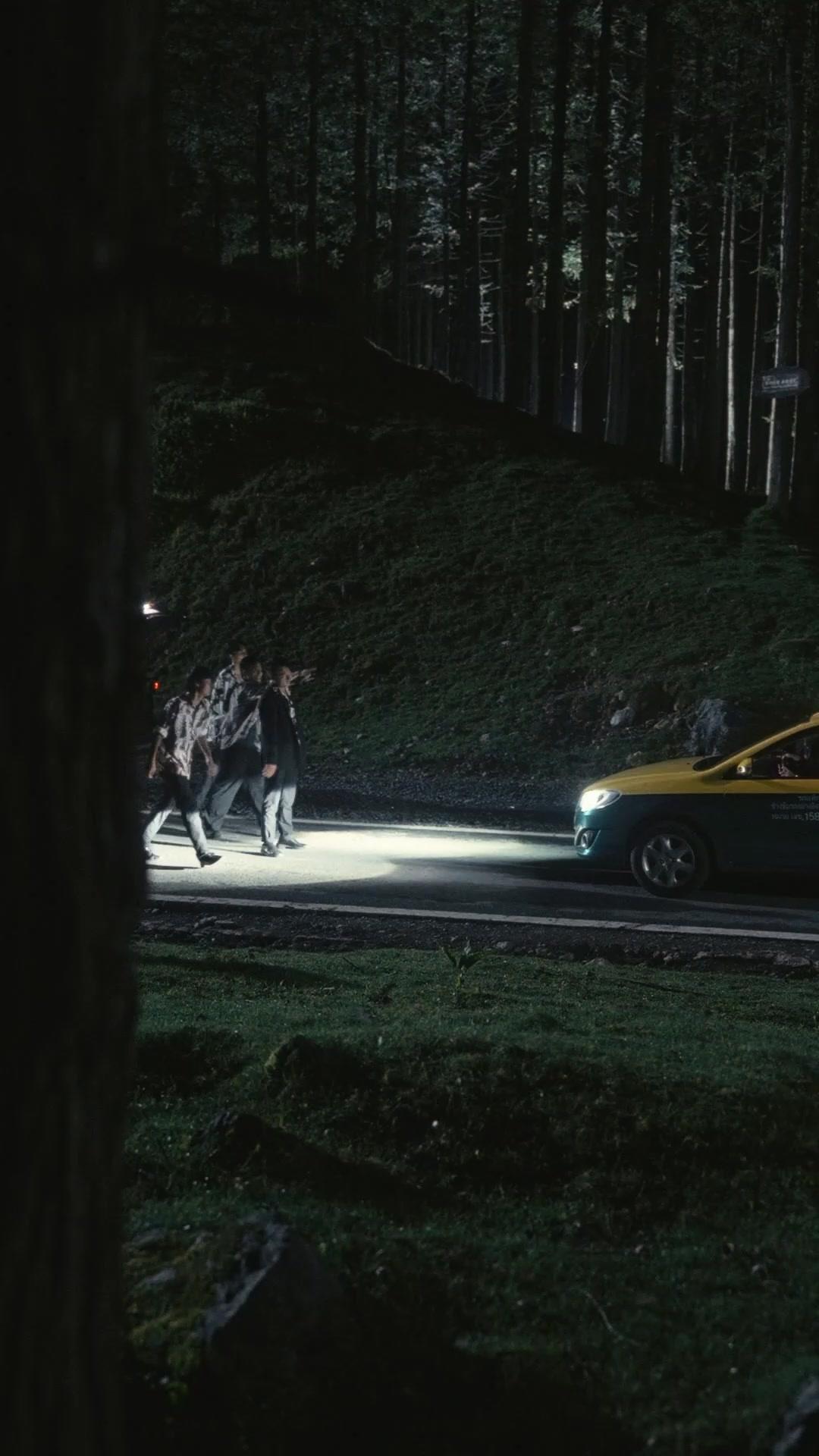 MEURTRE ACCIDENTEL, FUITE MORTELLE