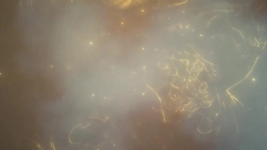 Legacy of the Warborn: When the Sword Speaks Louder Than Words