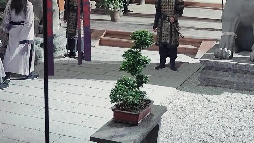 Legacy of the Warborn: When a Sachet Holds More Power Than a Sword